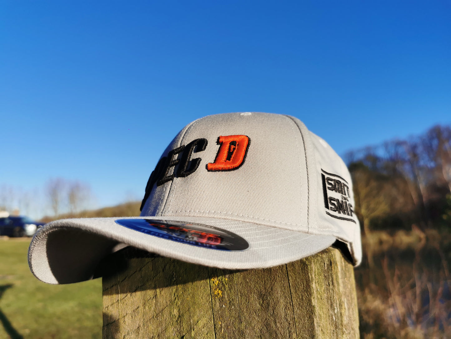 Spec D Cap - Silver